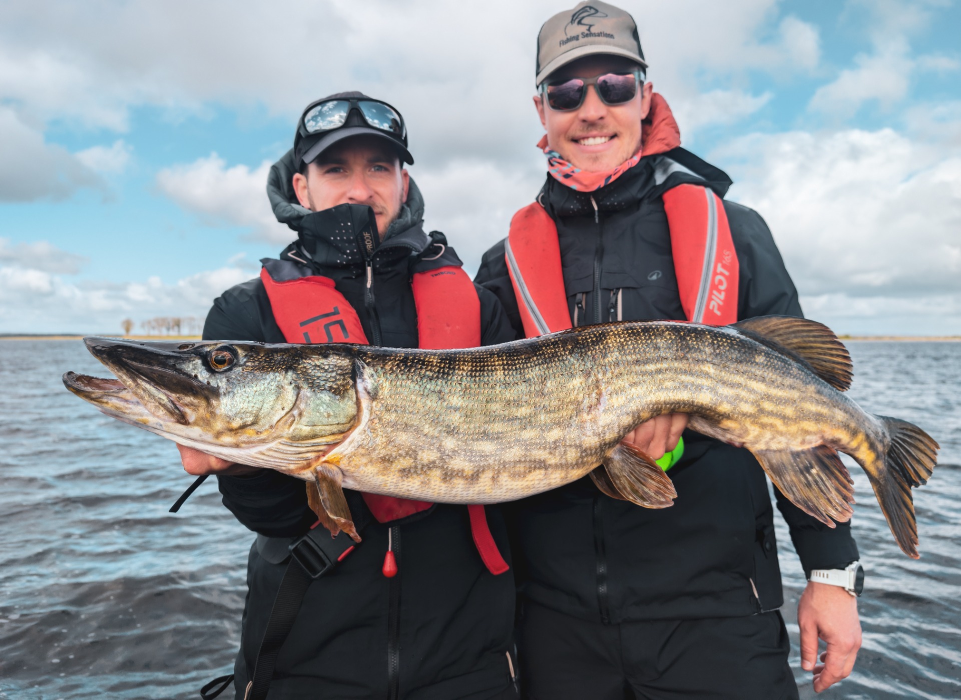 Brochet d'Irlande
