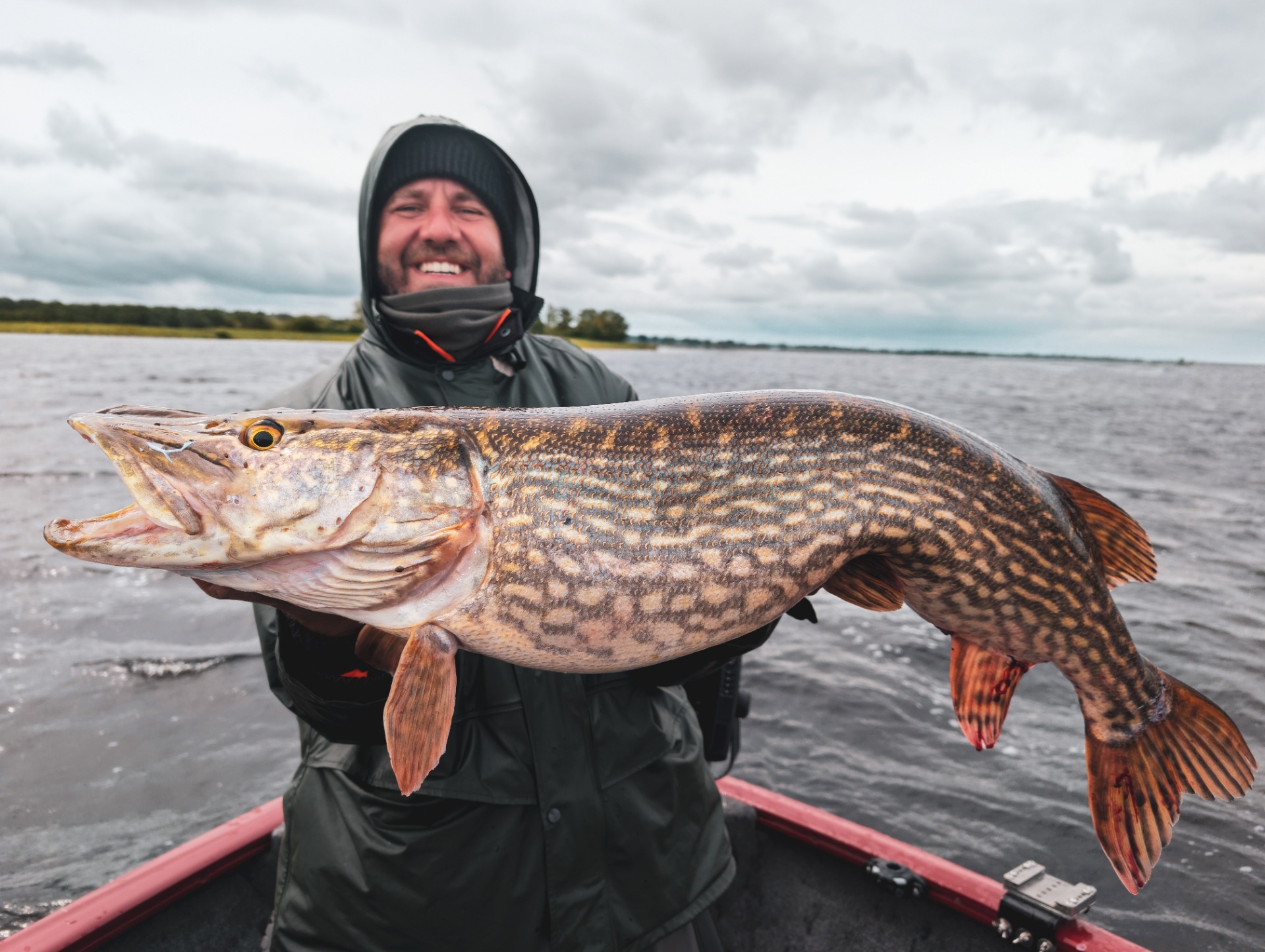 Lough Ree pike